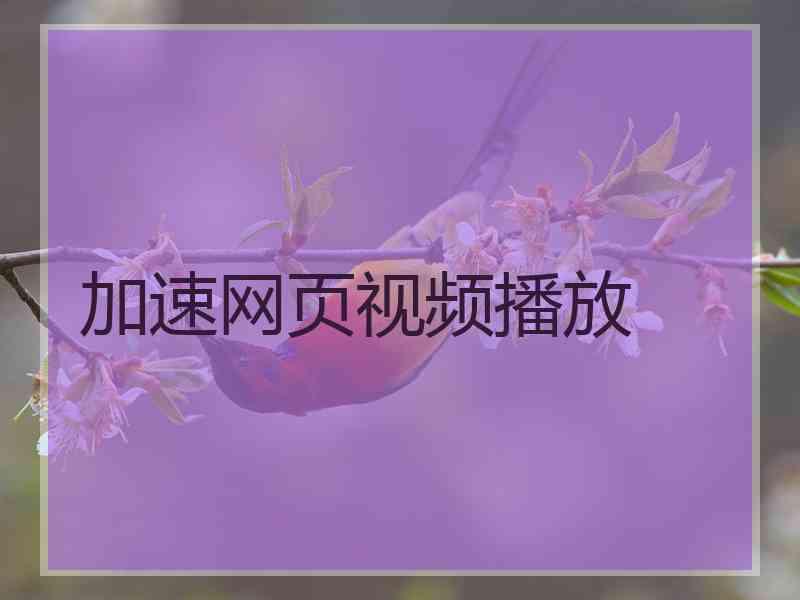 加速网页视频播放