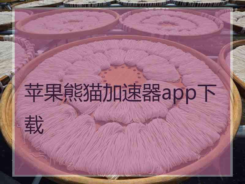 苹果熊猫加速器app下载