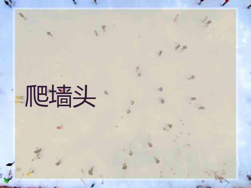 爬墙头