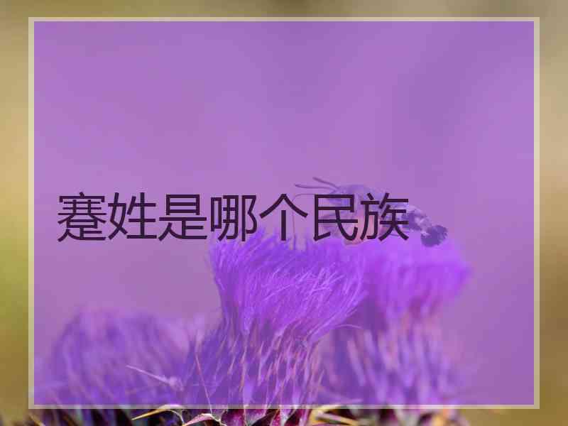蹇姓是哪个民族