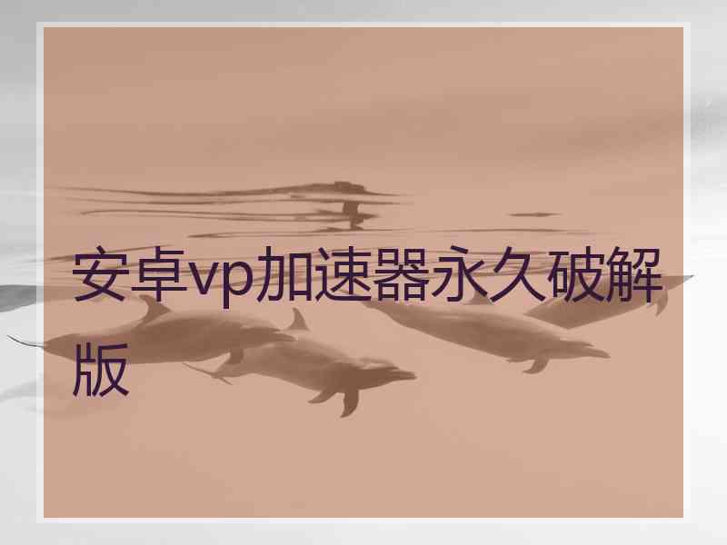 安卓vp加速器永久破解版