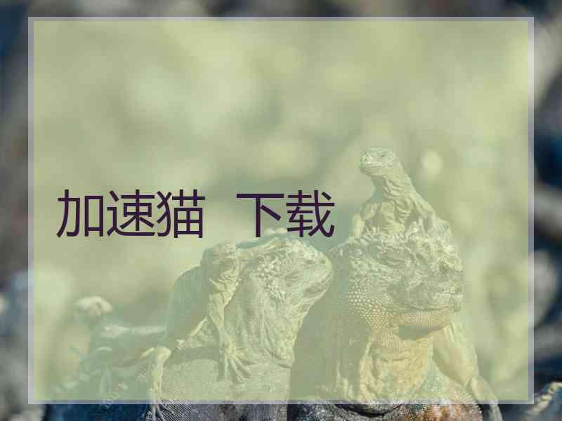 加速猫  下载
