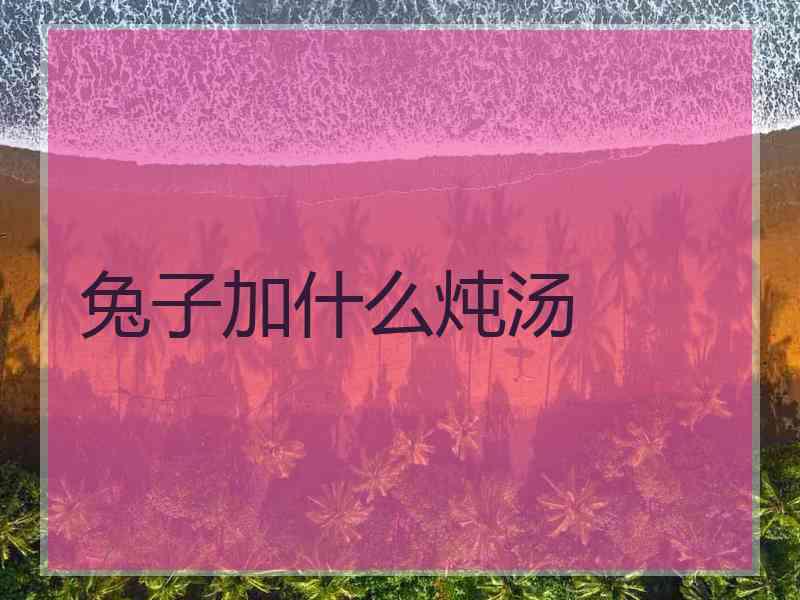 兔子加什么炖汤