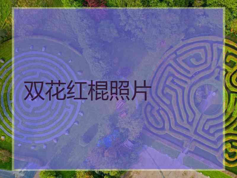 双花红棍照片