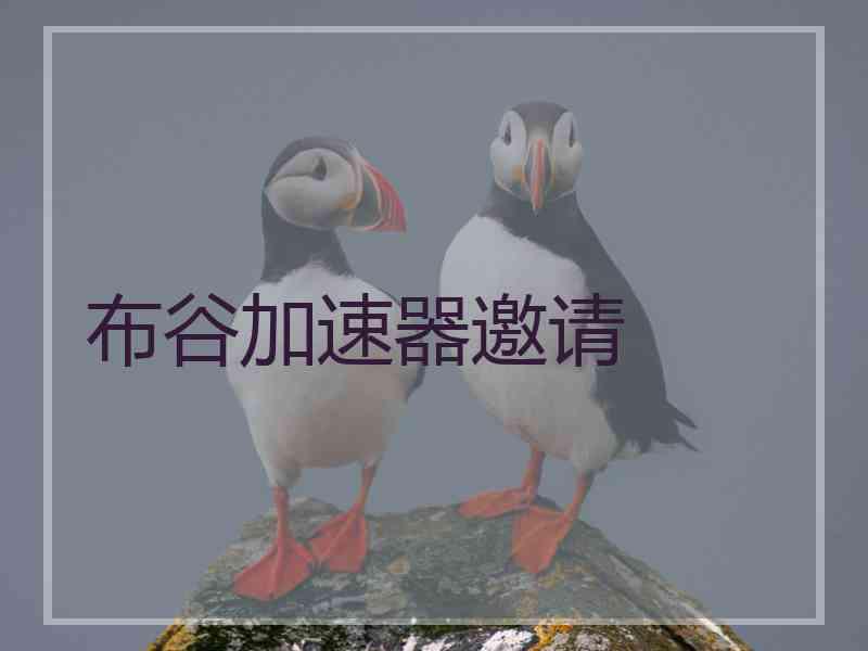 布谷加速器邀请