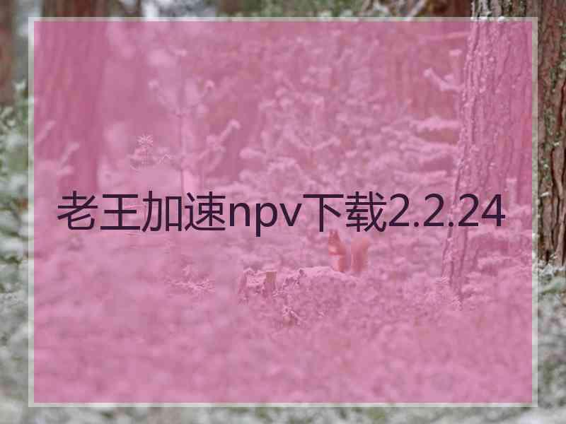 老王加速npv下载2.2.24