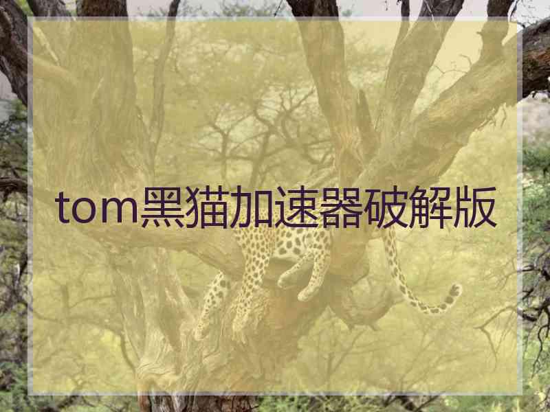 tom黑猫加速器破解版
