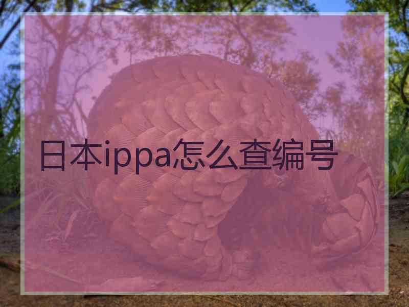 日本ippa怎么查编号