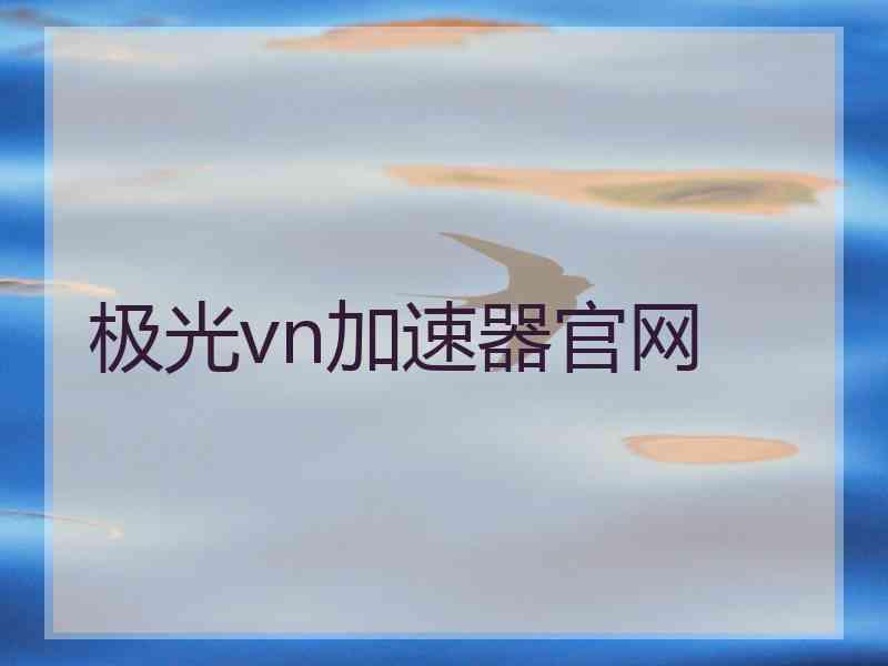 极光vn加速器官网