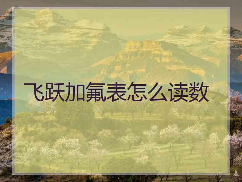 飞跃加氟表怎么读数