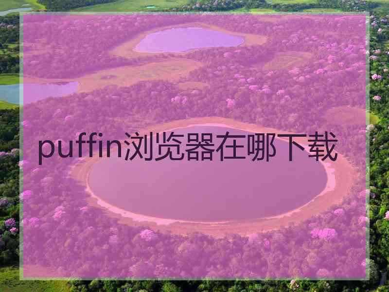 puffin浏览器在哪下载