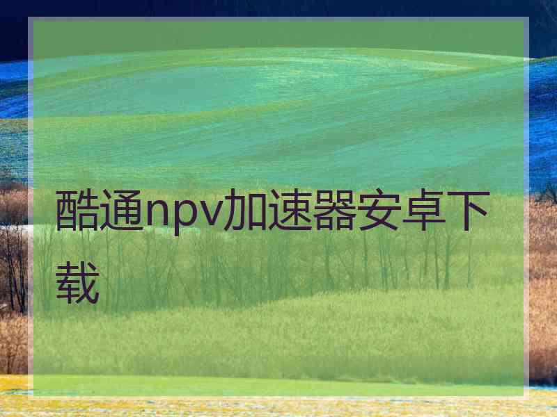 酷通npv加速器安卓下载