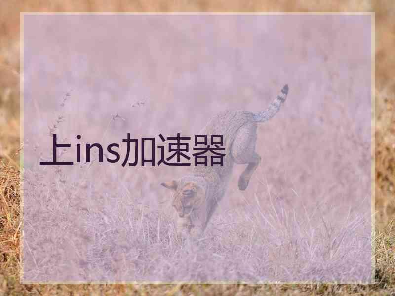 上ins加速器