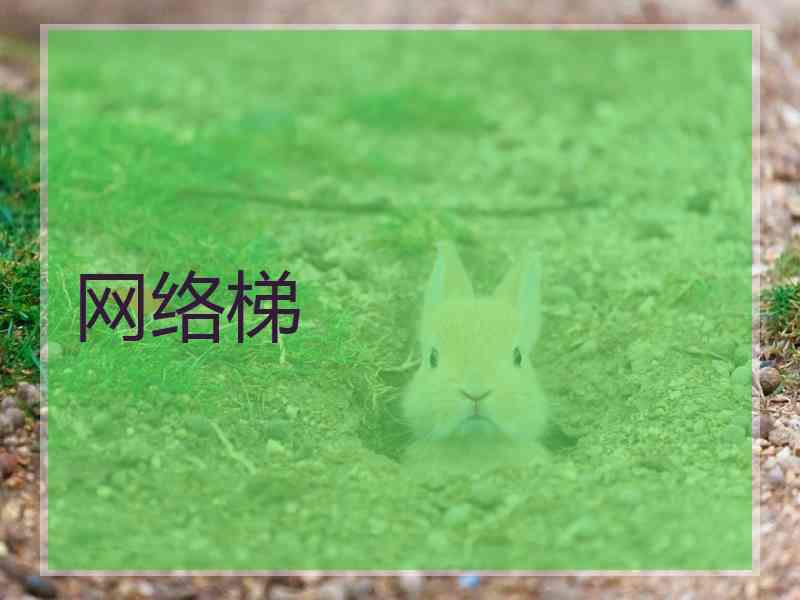 网络梯