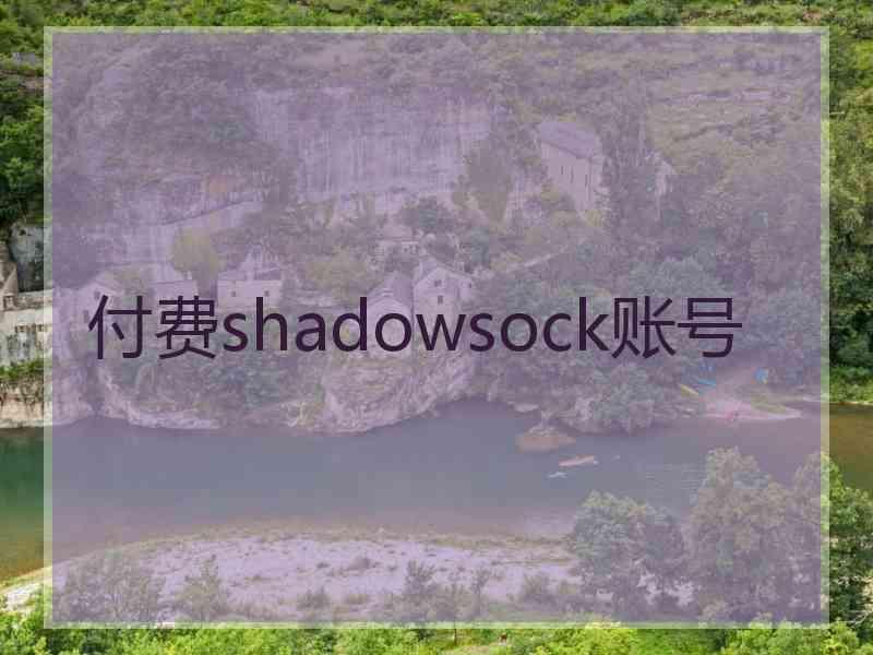 付费shadowsock账号