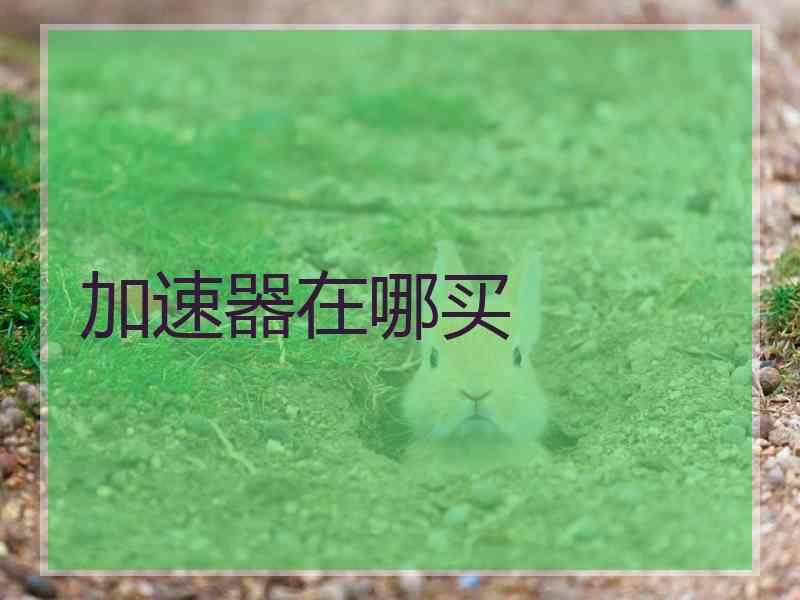 加速器在哪买
