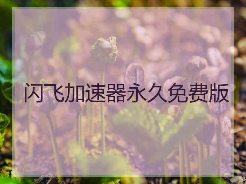闪飞加速器永久免费版