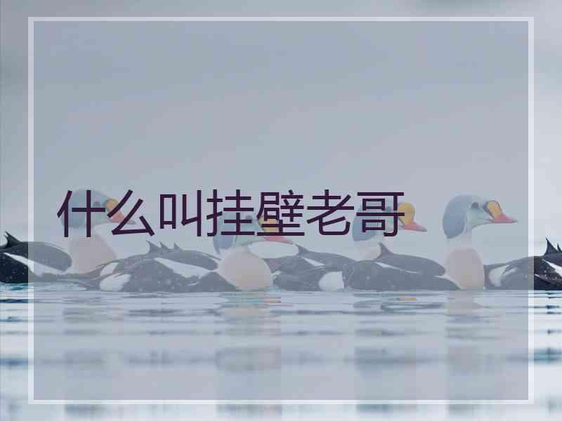 什么叫挂壁老哥