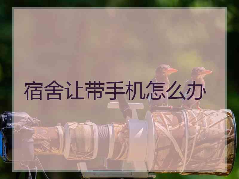 宿舍让带手机怎么办