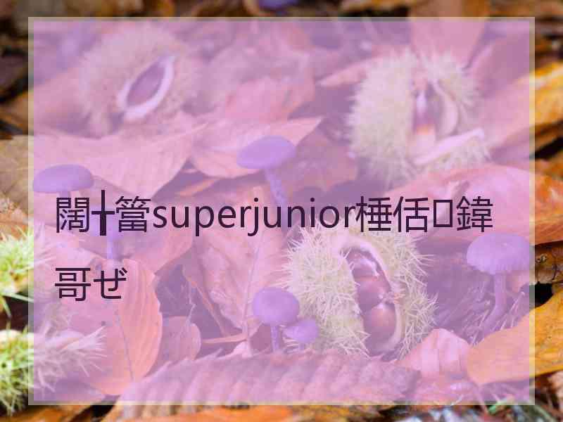 闊╁簹superjunior棰佸鍏哥ぜ