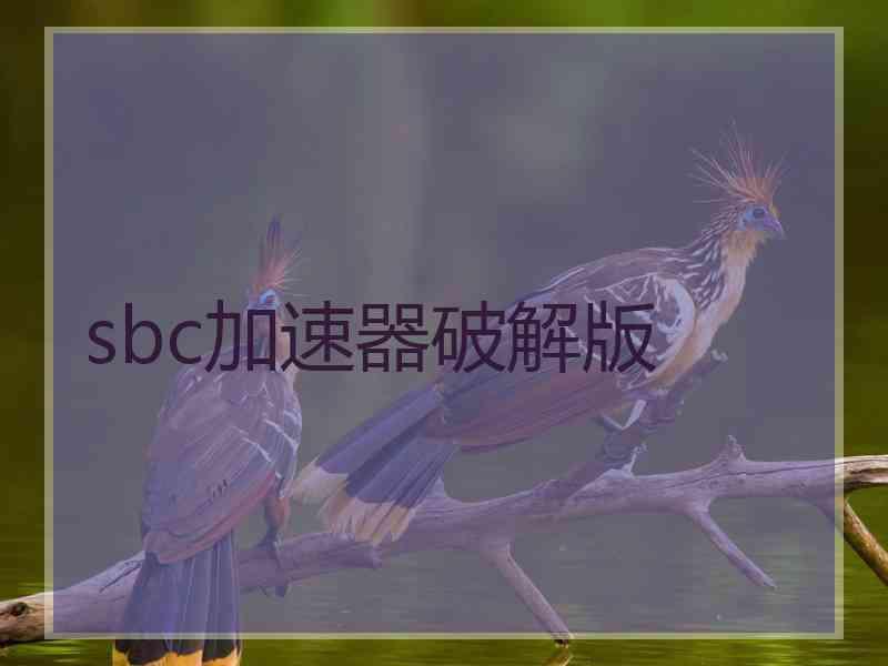 sbc加速器破解版