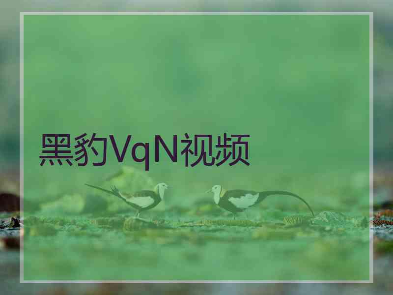 黑豹VqN视频