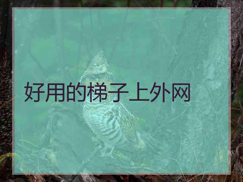 好用的梯子上外网