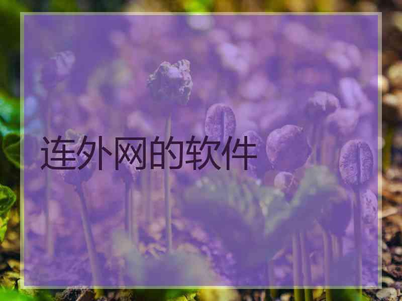 连外网的软件