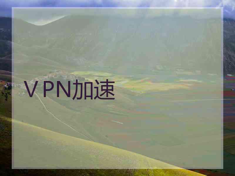 ⅤPN加速