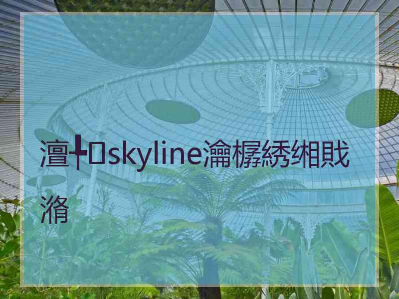 澶╄skyline瀹樼綉缃戝潃