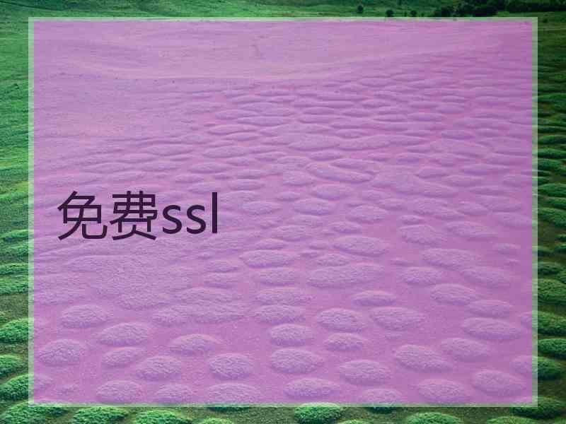 免费ssl
