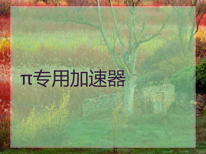 π专用加速器