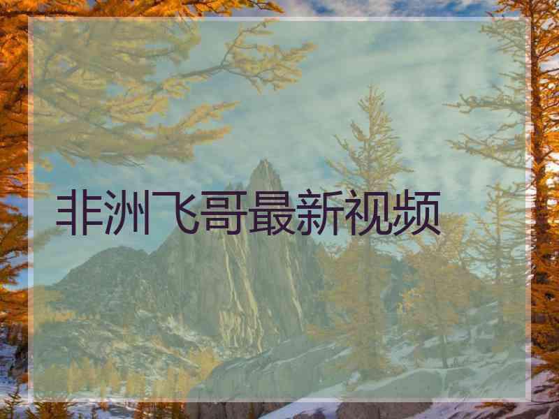非洲飞哥最新视频