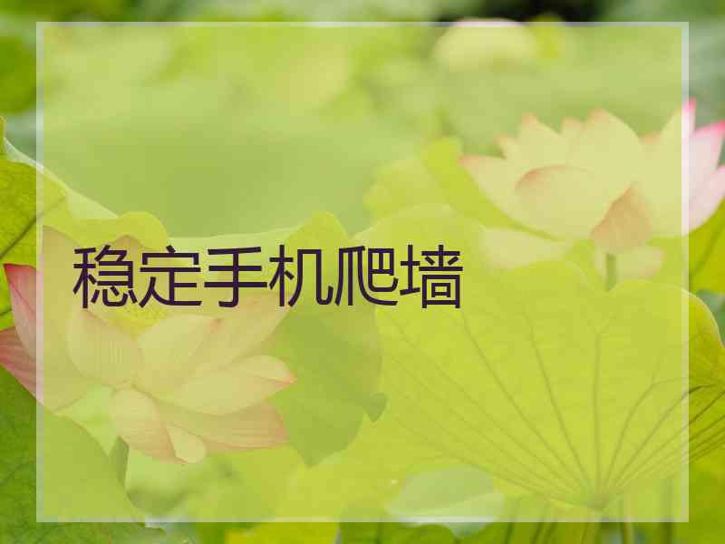 稳定手机爬墙