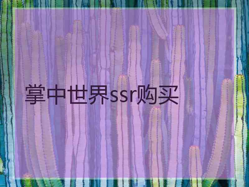 掌中世界ssr购买