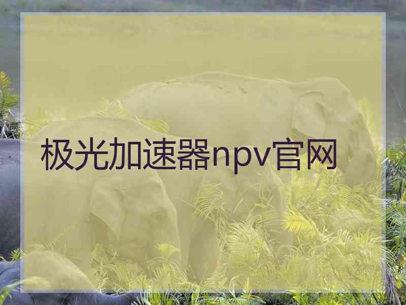 极光加速器npv官网