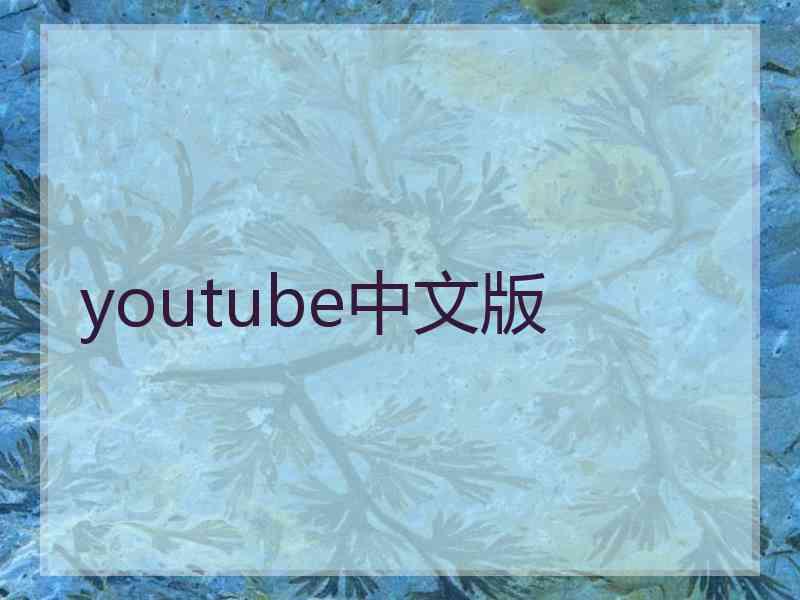 youtube中文版