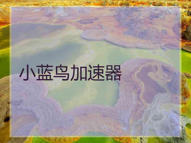 小蓝鸟加速器