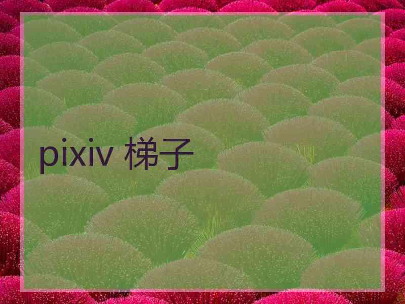 pixiv 梯子