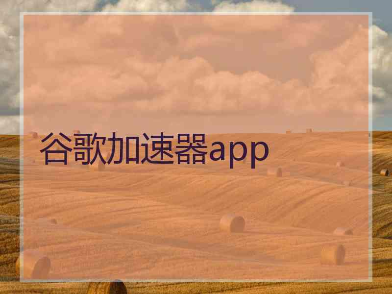 谷歌加速器app