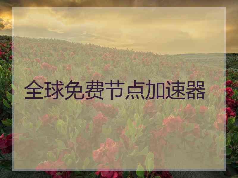 全球免费节点加速器