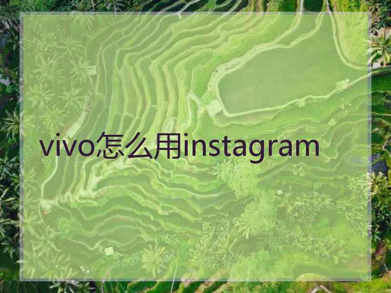 vivo怎么用instagram