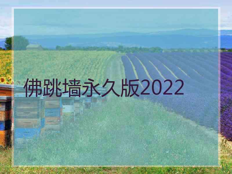 佛跳墙永久版2022