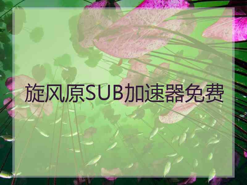 旋风原SUB加速器免费