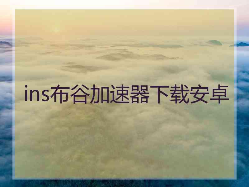 ins布谷加速器下载安卓