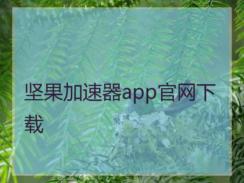 坚果加速器app官网下载