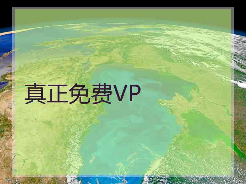 真正免费VP