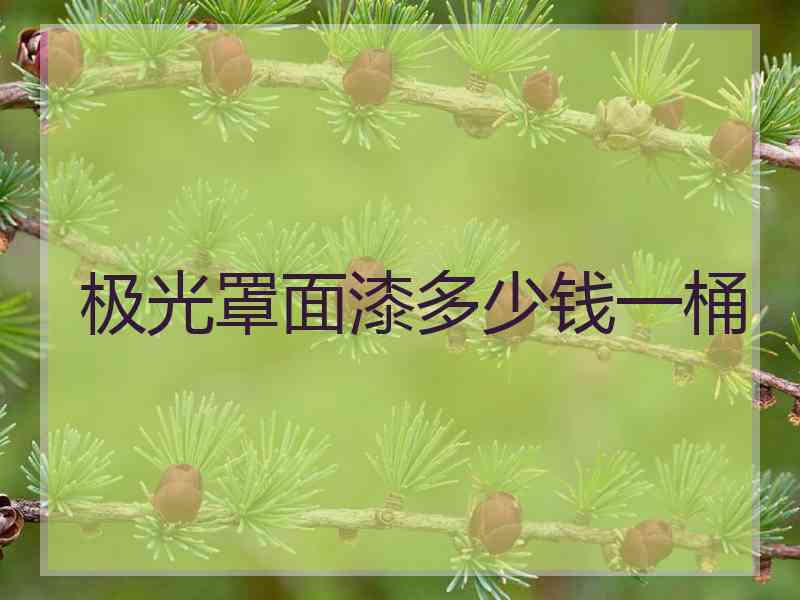 极光罩面漆多少钱一桶