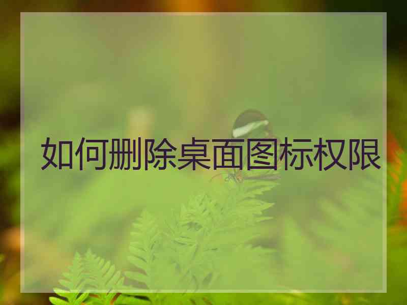 如何删除桌面图标权限