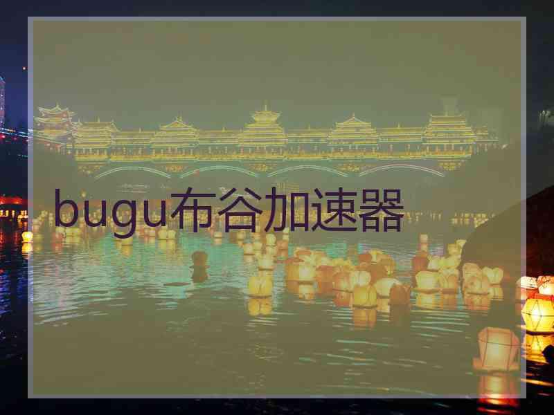 bugu布谷加速器